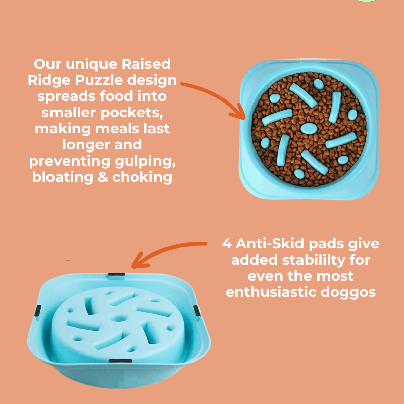 Roveroo™ Slow Feeder Bowl