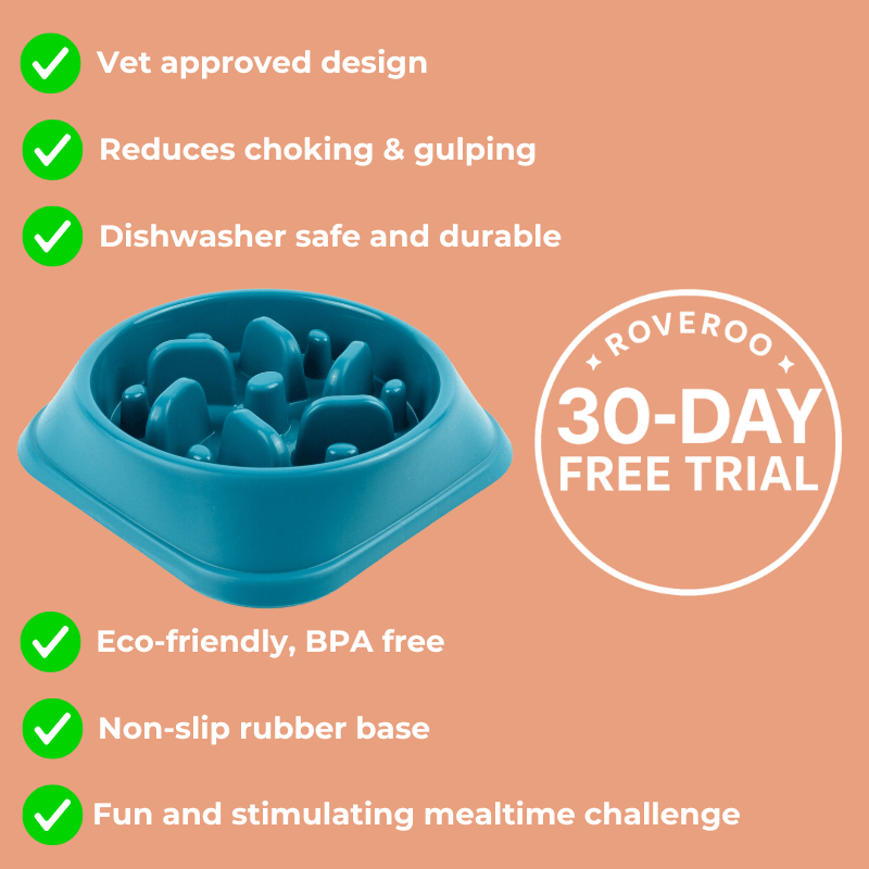 Roveroo™ Slow Feeder Bowl