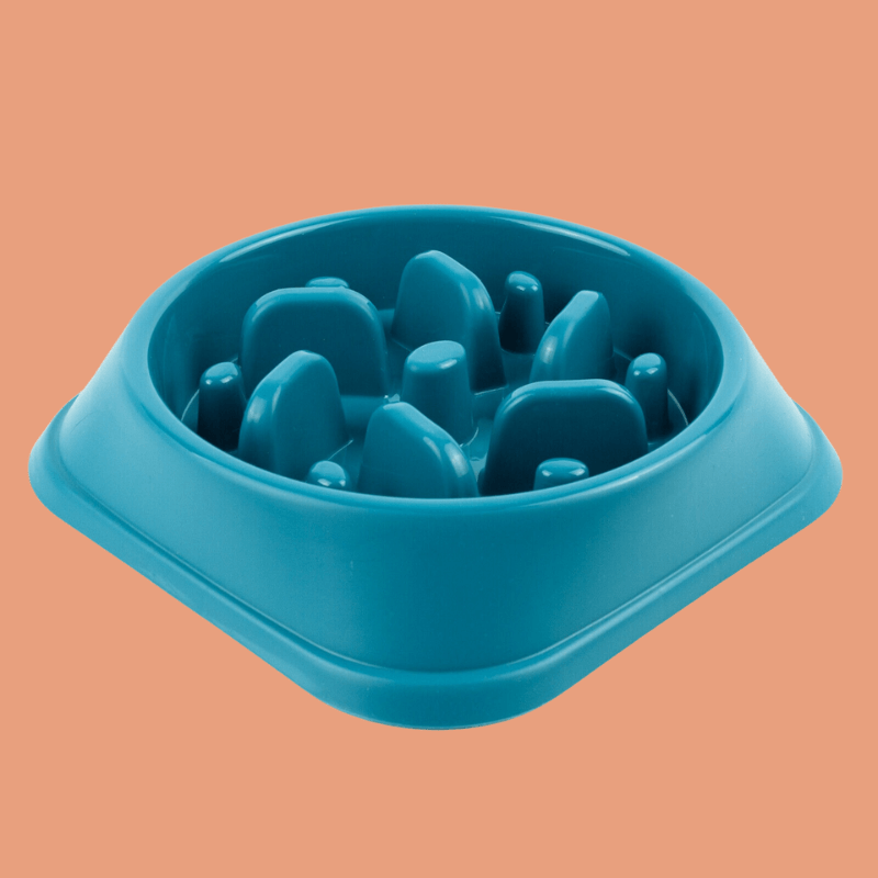 Roveroo™ Slow Feeder Bowl