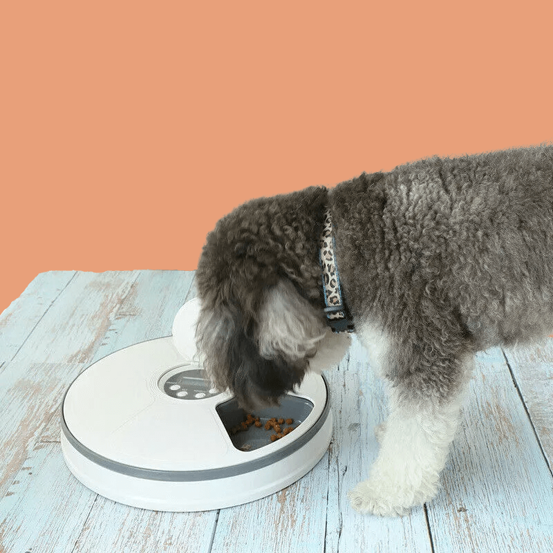 Roveroo™ AutoFeeder