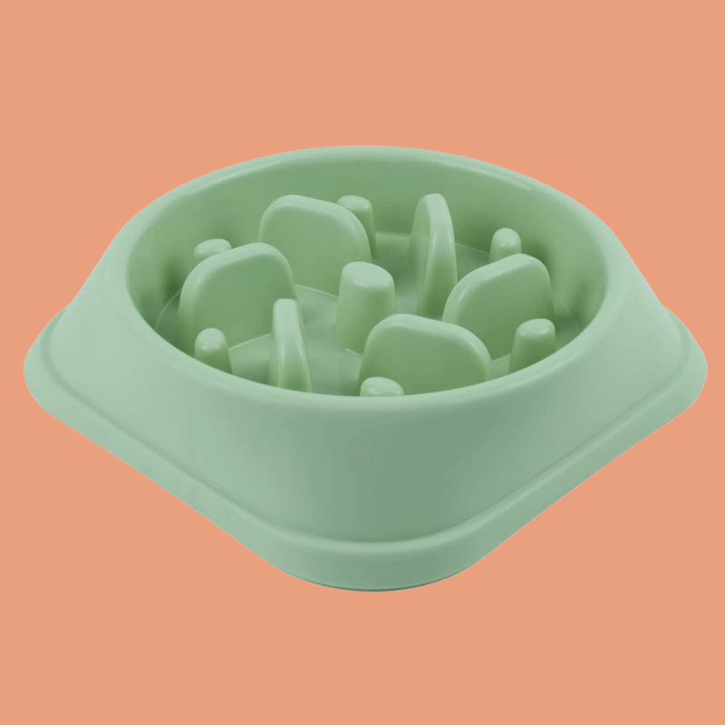 Roveroo™ Slow Feeder Bowl