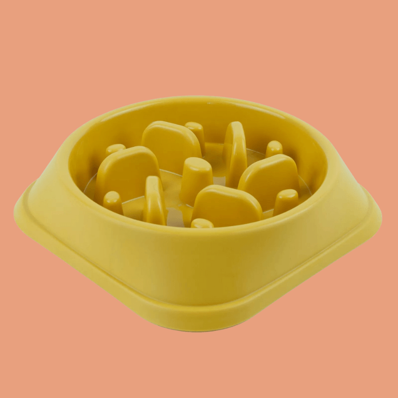 Roveroo™ Slow Feeder Bowl