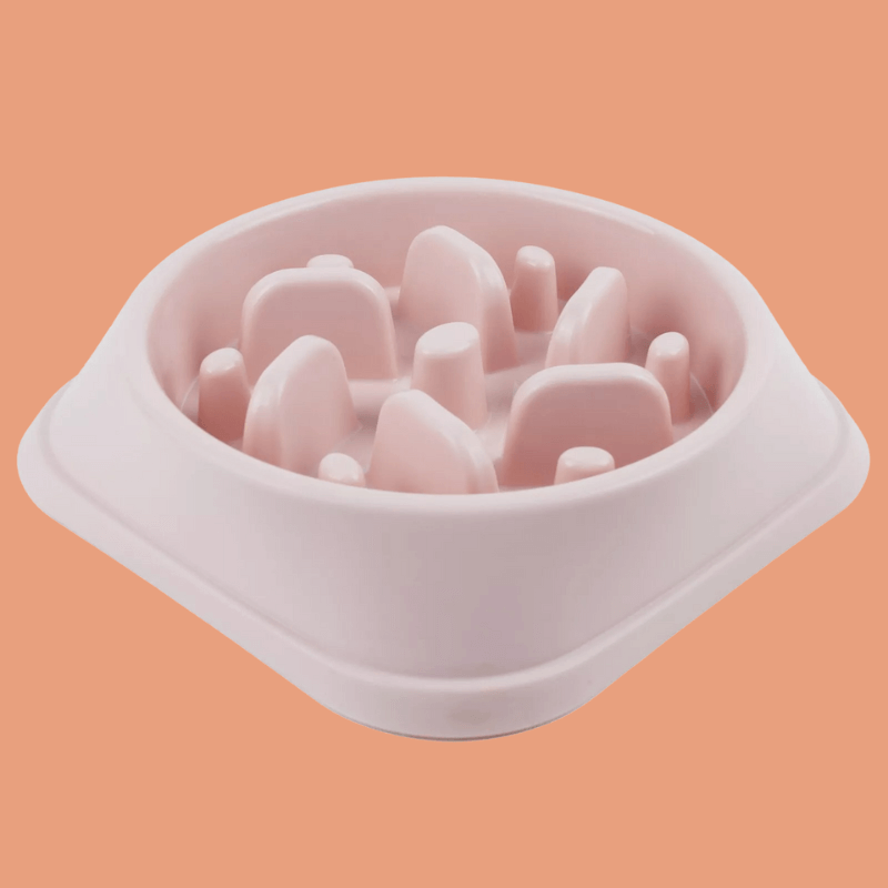 Roveroo™ Slow Feeder Bowl