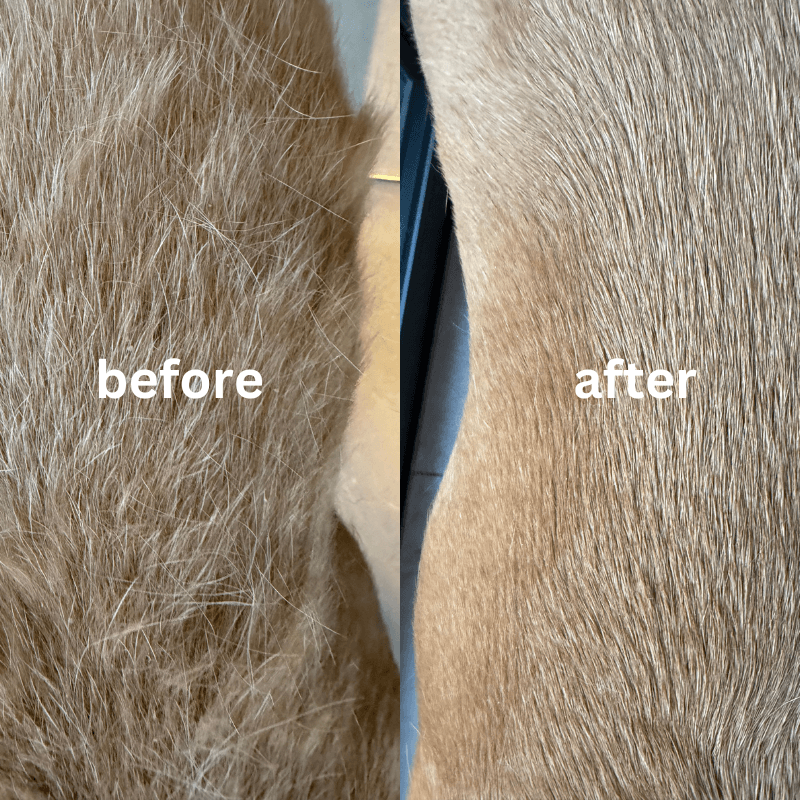 Roveroo™ Grooming Brush