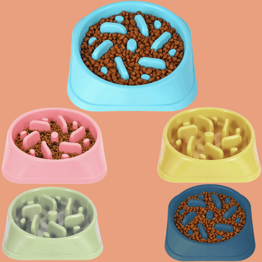 Roveroo™ Slow Feeder Bowl