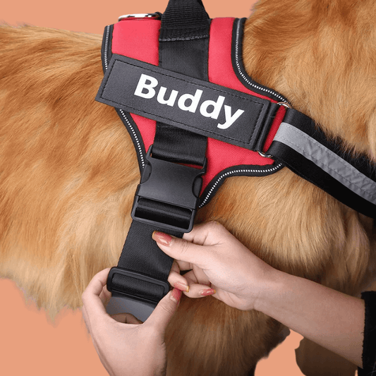 Roveroo™ Custom Tactical No-Pull Harness