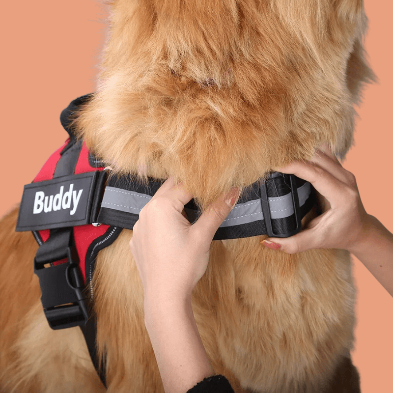 Roveroo™ Custom Tactical No-Pull Harness