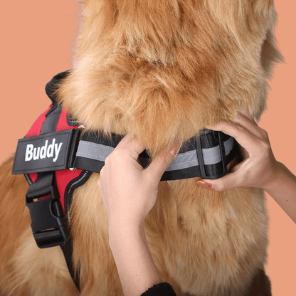 Roveroo™ Custom Tactical No-Pull Harness