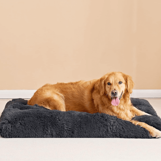 Roveroo™ Travel Bed