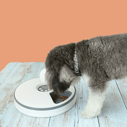 Roveroo™ AutoFeeder