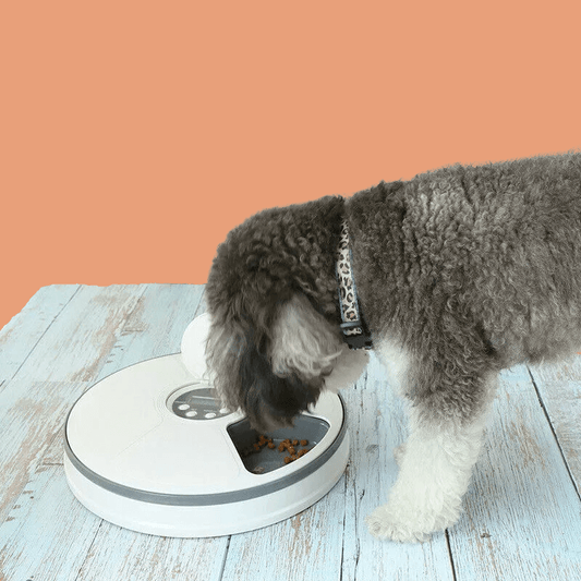 Roveroo™ AutoFeeder