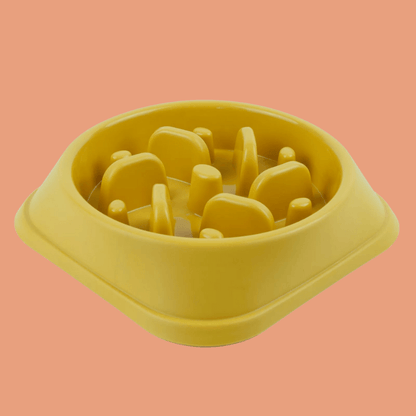Roveroo™ Slow Feeder Bowl