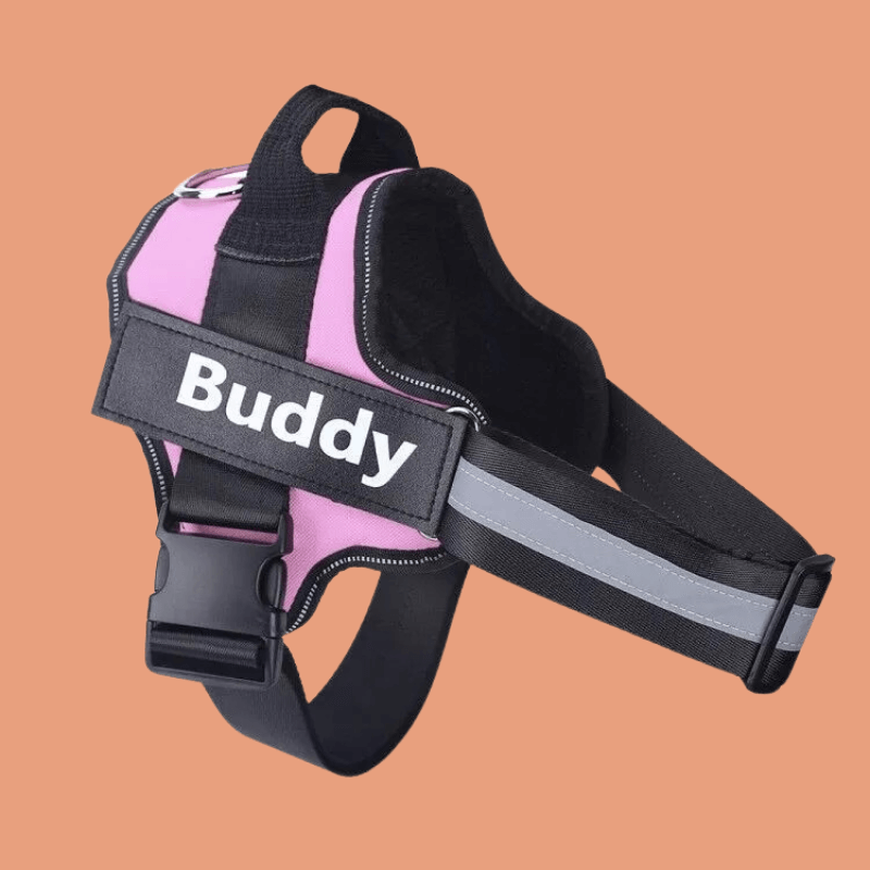 Roveroo™ Custom Tactical No-Pull Harness
