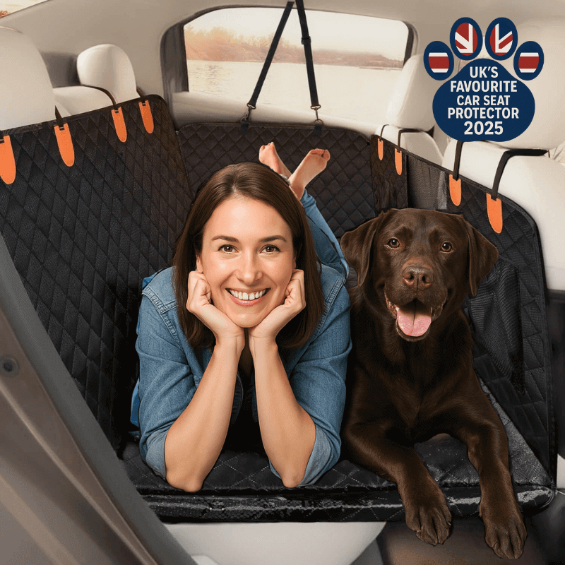 Roveroo™ Hard Bottom Car Seat Protector for Dogs