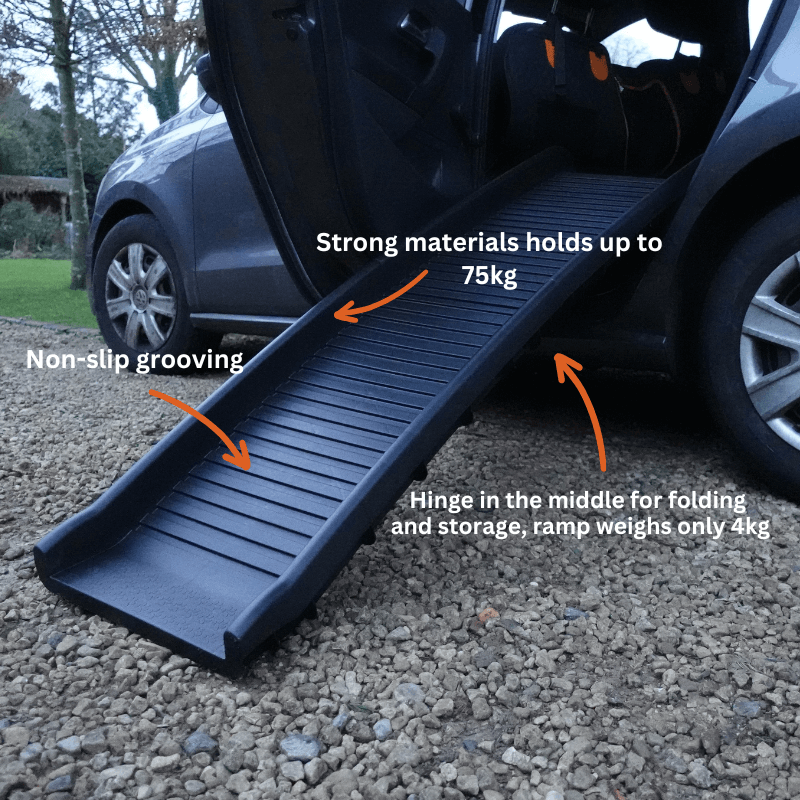 Roveroo™ Pet Ramp