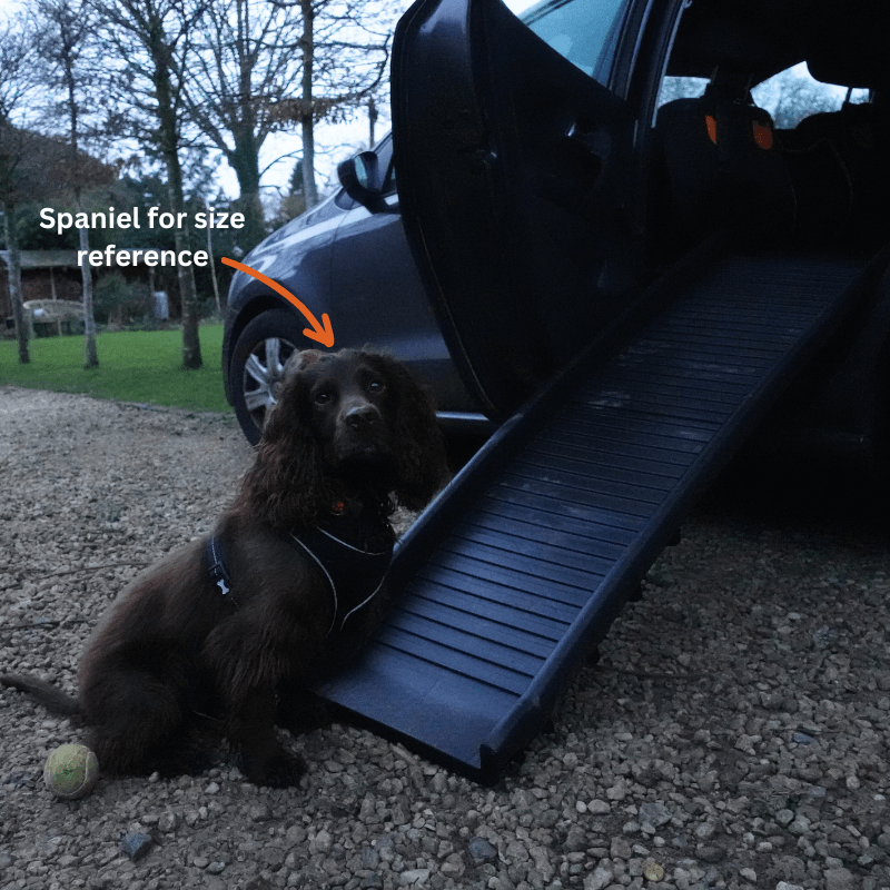 Roveroo™ Pet Ramp