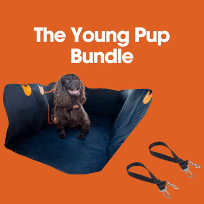 Roveroo™ Young Pup Bundle