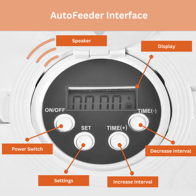 Roveroo™ AutoFeeder