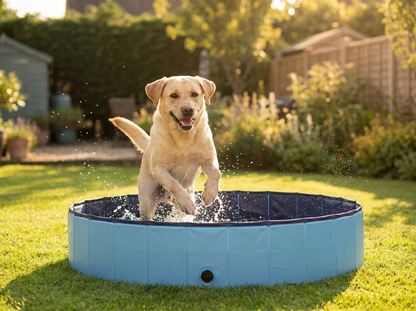 Roveroo™ Doggy Paddler
